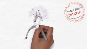 Как просто нарисовать красивую лошадь карандашом