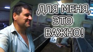 ЧТО ТАКОЕ ВЫХОД КРОЛЬЧАТ ИЗ ГНЕЗДА?