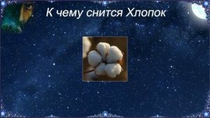 К чему снится Хлопок (Сонник)