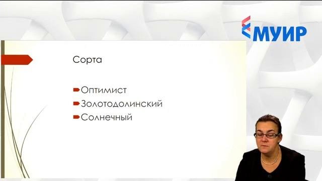 Запись вебинара «Многолетние лекарственные растения: выращивание в промышленных масштабах»