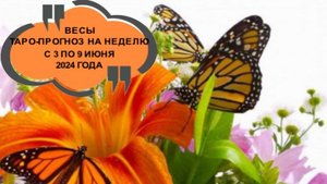 ВЕСЫ ТАРО-ПРОГНОХ НА НЕДЕЛЮ С 3 ПО 9 ИЮНЯ 2024 ГОДА