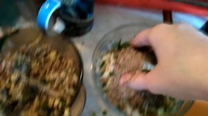 Чем кормить индюшат (цыплят) с недельного возраста до месяца / рацион индюшат