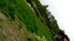 Устрожино разведение кабанов
