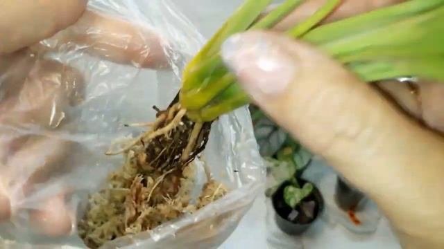Распаковка посылки с 