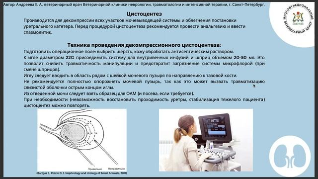Кот с острой задержкой мочи смотреть онлайн