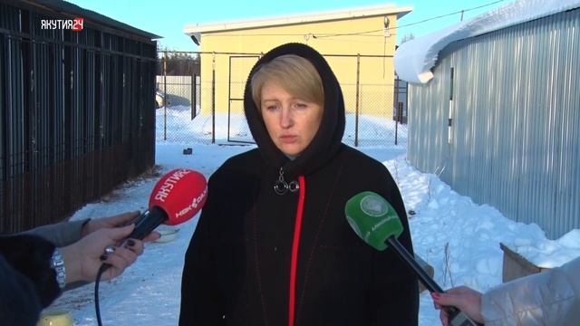 Открытие приюта для собак смотреть онлайн