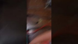 Ремонт приставки dvb-t2 color dc921hd