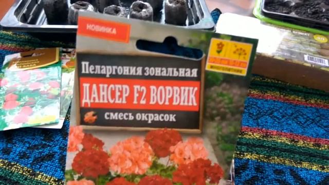 #делаогородные#рассада  Пора садить землянику !