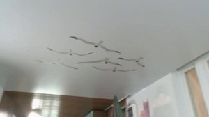 Диван ФРИ в передаче ФАЗЕНДА ЛАЙФ.mp4