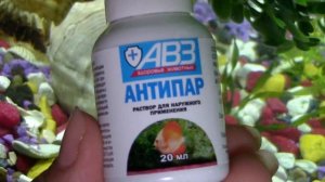 Что это за БЕЛЫЕ ТОЧКИ у рыб ?