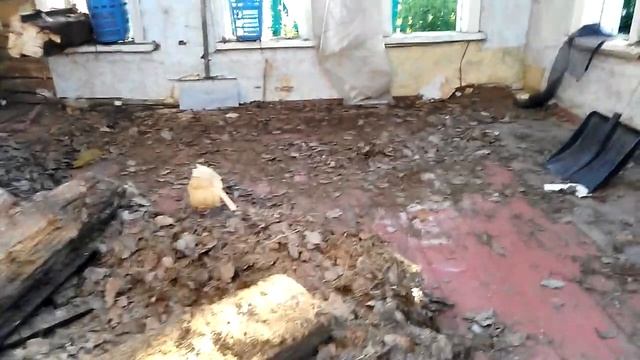 PRO разбор старого дома смотреть онлайн