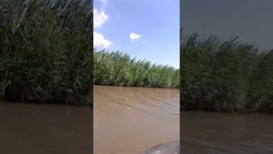 Ветерок-8 лодка ПВХ ProfMarine 280