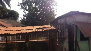 Guinea-Bissau (Поездка по Гвинея-Бисау)