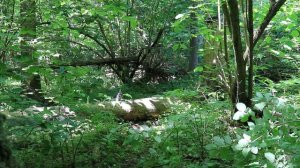 Как играть с подствольником АК-style новичку страйкболисту