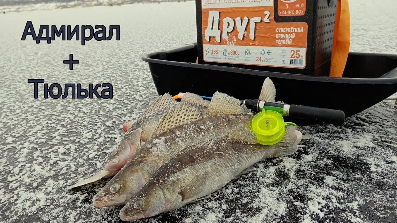 ТАКОГО КЛЁВА Я НЕ ОЖИДАЛ _ ЛОВЛЯ СУДАКА ЗИМОЙ НА БЛЕСНУ С ПОДСАДКОЙ ТЮЛЬКИ _ ЭТО НУЖНО ВИДЕТЬ. смотреть онлайн