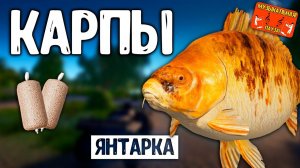 РР4/ рыбалка для души, ловим как универсал, общаемся 11.01.24