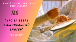 TAG "Что за зверь вышивальный блогер?"