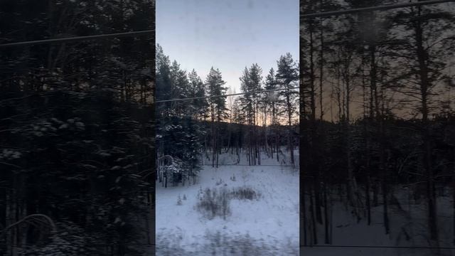 Звуки поезда