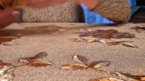 Её мысли ,чувства планы!!!!! БУБНОВАЯ ДАМА И КРЕСТОВЫЙ КОРОЛЬ??????????????