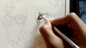 ?Wolf Sketch?| How To Draw A Wolf?|PART-1| #animalsketch