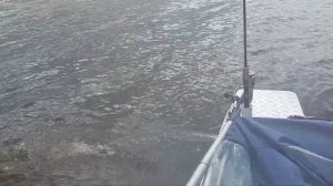 Помпа на Немане 450 DCM PRO