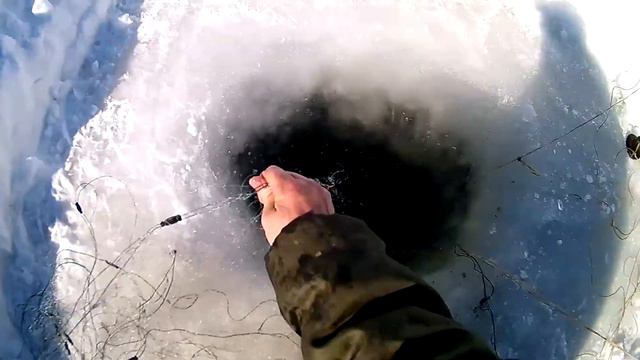 Хорошая рыбалка !!! Караси как кабаны!!! смотреть онлайн