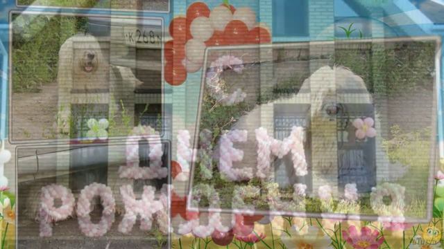 Баре 3 года!!! - С днём Рождения, Бара! смотреть онлайн