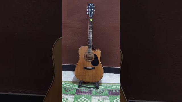 Guitar || Cort AD 800CE Cutaway Electro Acoustic Guitar