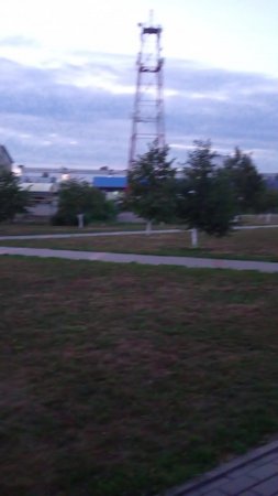 парк Таловая 5 августа 2024