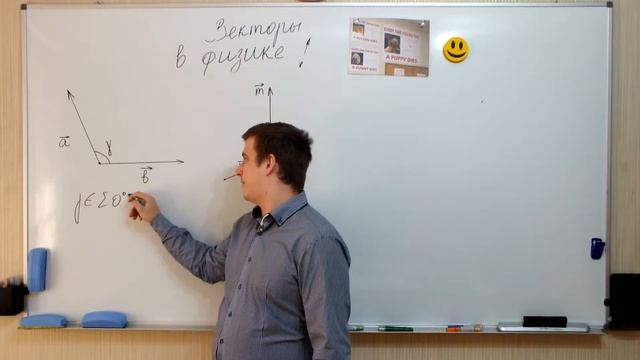 Векторы в физике