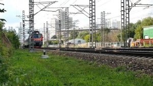 Поезда на станциях в Москве, лето-осень 2020 / Сапсан,  Ласточка, Невский Экспресс, ВЛ-10 и другие