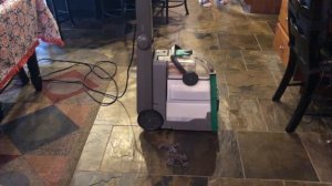 Cleaning Carpets Bissell Big Green Carpet Machine From Lowes