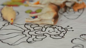 Жывёлы па-беларуску