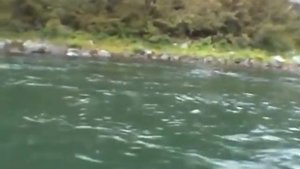 Спортивная рыбалка на реке Опала