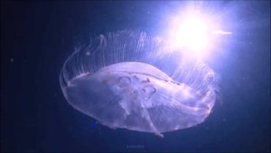 Безумно Красивая, Добрая, Вдохновляющая Музыка! Такое Чувство, что вот-вот случится Чудо