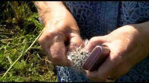 Тюменский характер. Лидия Сурина.