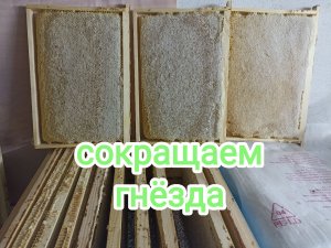 Сокращаю и собираю гнездо, готовлю к зимовке. Пчеловодство!