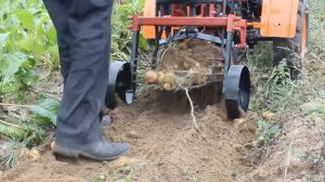 Картофелекопалка КТ3 в работе с мотоблоком Кентавр 1081Д