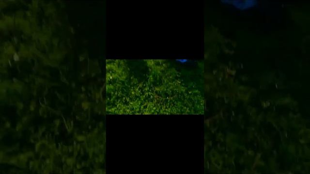 привет это влог как мы с подругой отправились на пикник!!!!! смотреть онлайн