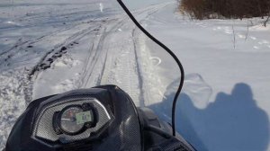 Тайга Барс зима 19-20