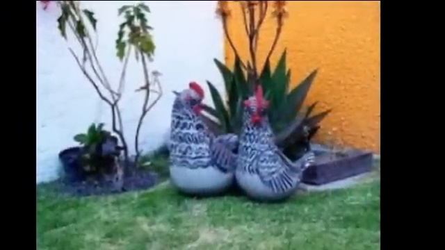 Различные поделки из цемента для украшения садового участка смотреть онлайн