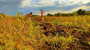 КОПАЕМ КАРТОШКУ-ОТЛИЧНЫЙ УРОЖАЙ. ПОКУПКИ С ЦЕНАМИ ИЗ СВЕТОФОРА.