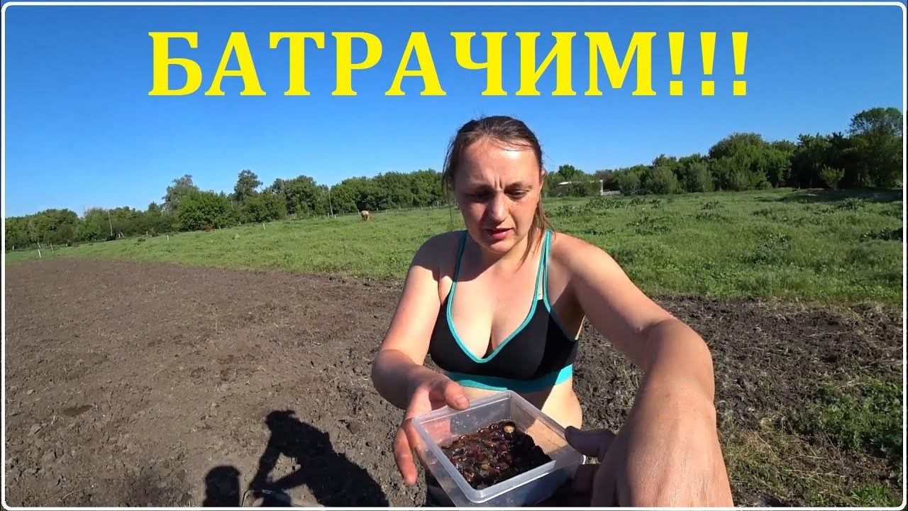 Деревенские будни / Посадки / Почему трактор не собираешь? / Семья в деревне