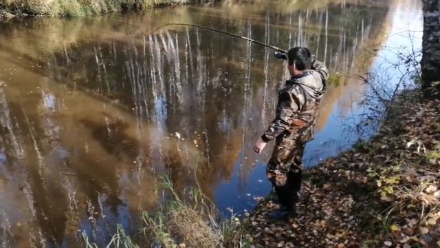 Поехали на рыбалку! Ловим шурогаек! Хороший клёв! смотреть онлайн