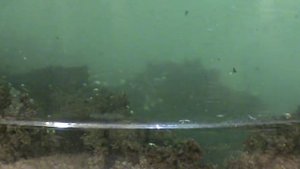 Осаждение серебра из нитрата, контактами - серебро на меди.