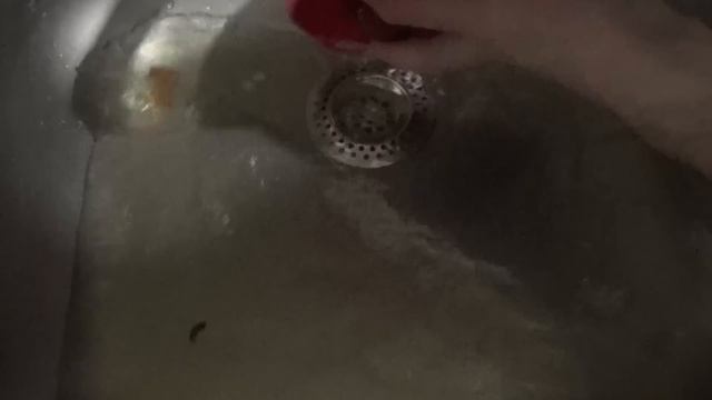 Золотые яйца на Пасху в луковой шелухе ? Как оригинально покрасить пасхальные яйца в золотой цвет смотреть онлайн