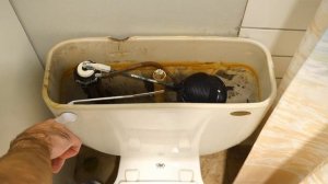 How to Clean Toilet Tank with Citric Acid (Almost no Scrubbing!)