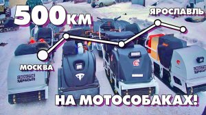 500км на МОТОСОБАКАХ! Из Москвы в Ярославль с ПРИКЛЮЧЕНИЯМИ!