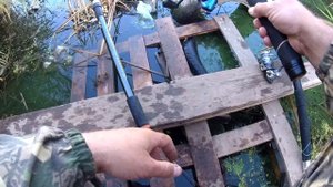 Рыбалка ? на царскую рыбу Линя!!! На реке Тобол!!!