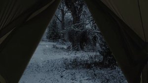 Forest of Dean ◈ Winter ASMR | Relaxing Howling Wind | Harry Potter inspired Ambience & Soft Music